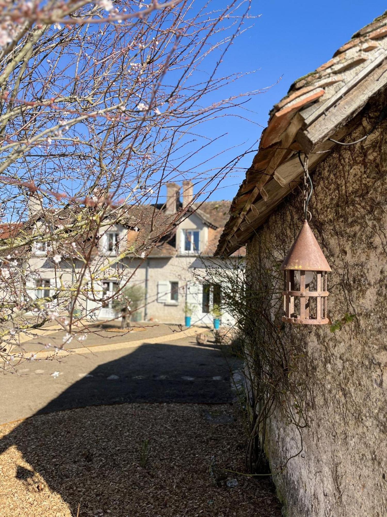 לינה וארוחת בוקר Vineuil  Nuits De Loire -Entre Blois Et Chambord חדר תמונה